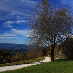 Ribnica na Pohorju with  surroundings